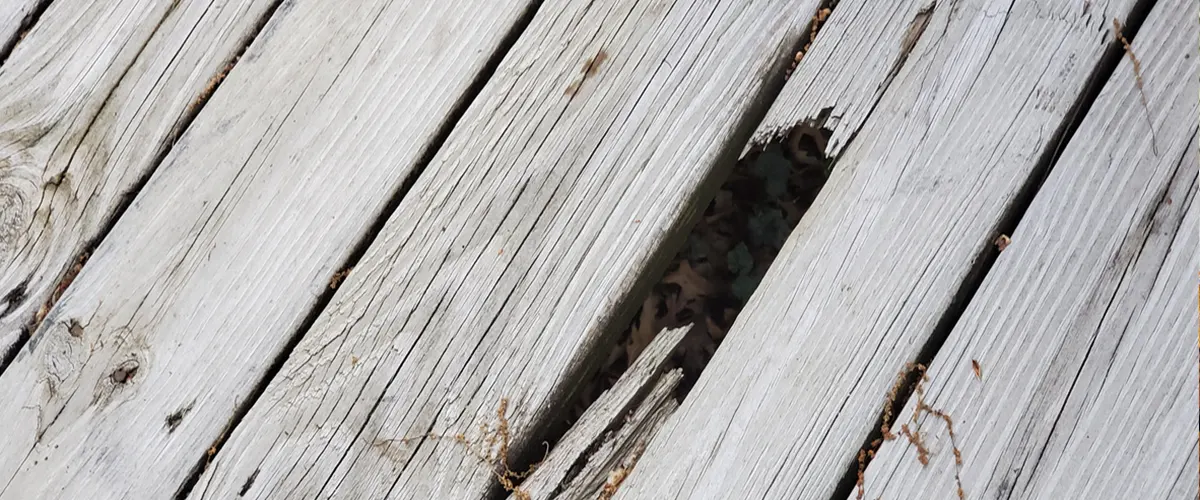 Cracked wood deck board
