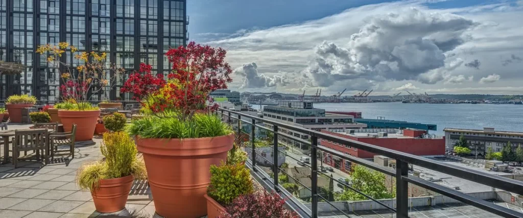 Scenic rooftop deck in an urban setting featuring large terracotta potted plants with colorful red foliage, wooden outdoor seating, and panoramic harbor views.