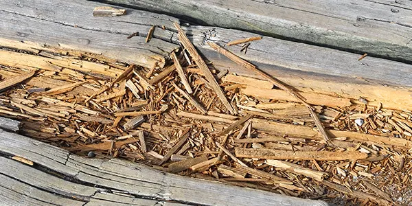 deck wood with splinters