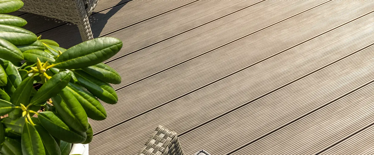 Beige composite decking with a plant