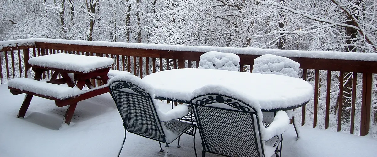 fresh snow on the deck with trees covered in snow in the background