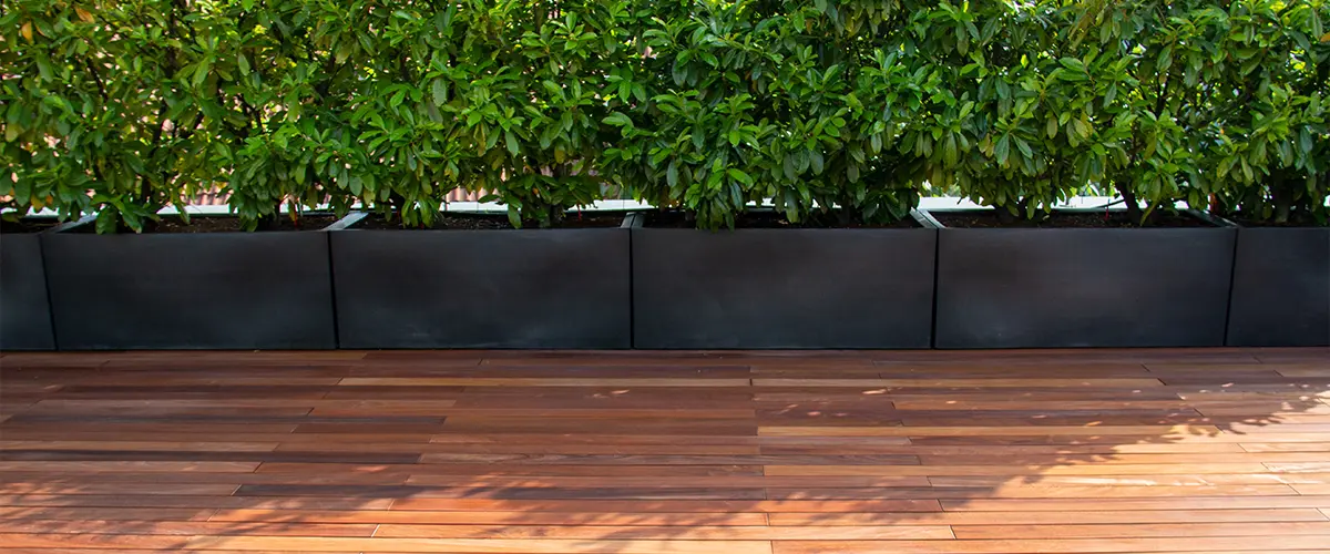 Hardwood deck with plants