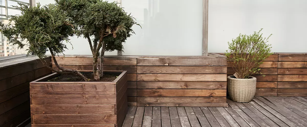 A small tree thrives in a wooden planter on a deck, adding natural beauty and serenity to the outdoor space