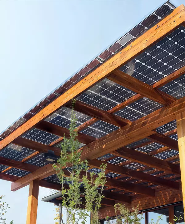 A wooden canopy with solar panels on the roof provides shade and generates renewable energy, surrounded by greenery in a sunny outdoor setting.