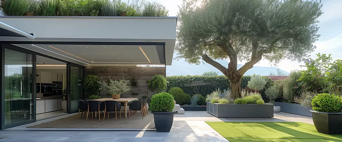 Backyard with garden canopy olive tree in white planter