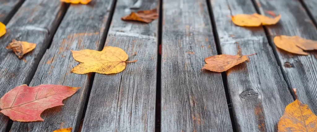 A weathered wooden deck covered with colorful autumn leaves in shades of orange and yellow