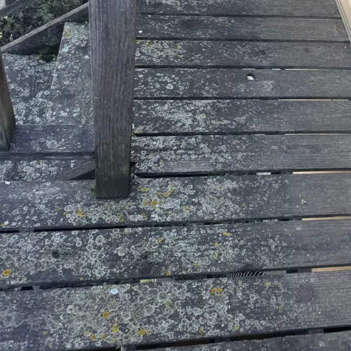 Elevated, 156 sq. ft Cedar Deck In Lincoln decking