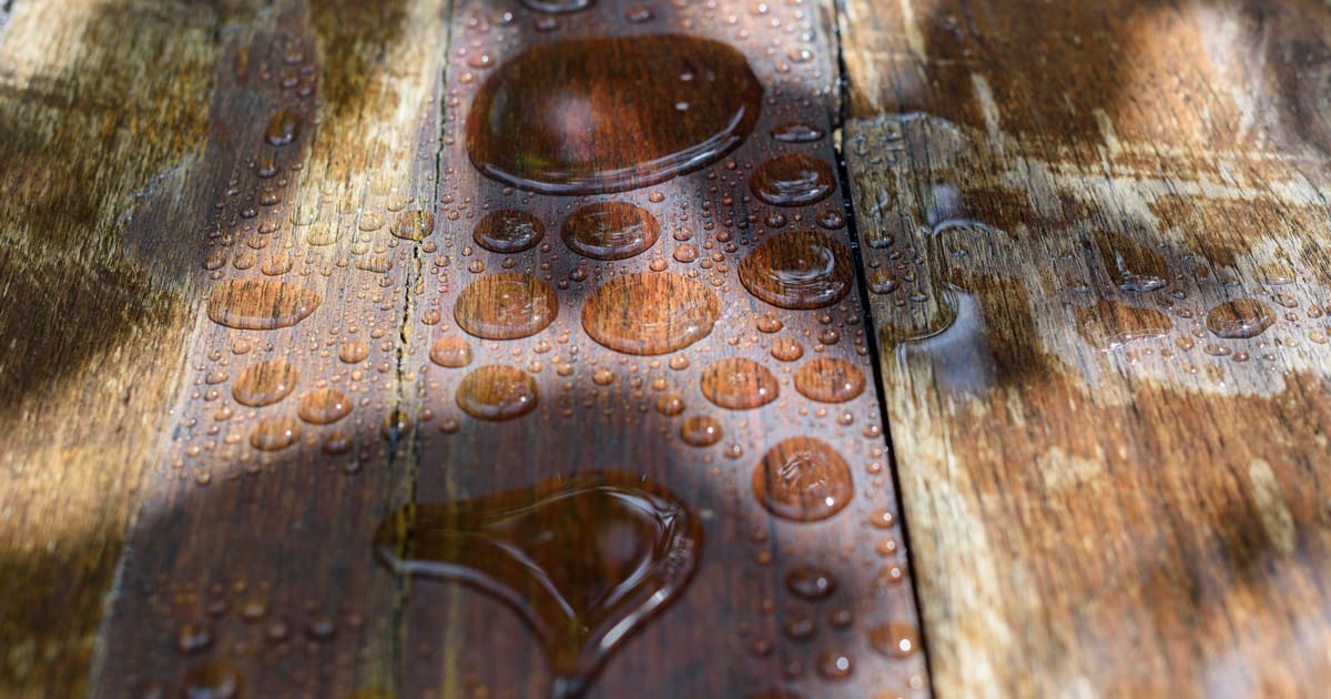 Large water droplets beading on a professionally sealed dark wood deck surface to prevent moisture damage.