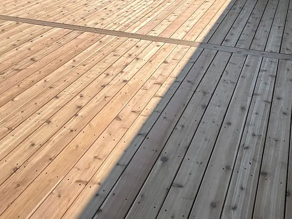 cedar