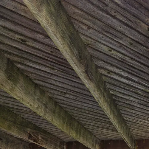 severe framing rot