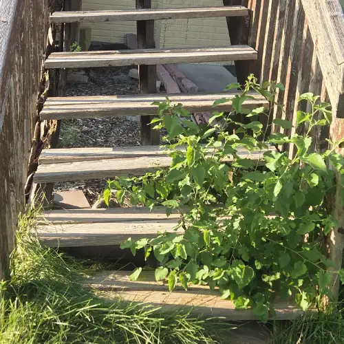 unusable stairs